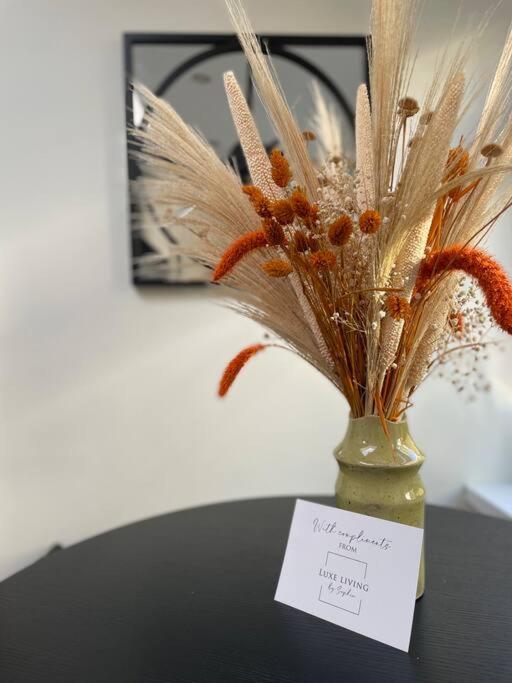 New Luxury For 2024 - Central Plymouth House - Sleeps 10 - Access To Plymouth Town - Close To The Barbican - Pets Welcome - Parking Available - By Luxe Living By Sophia Екстериор снимка